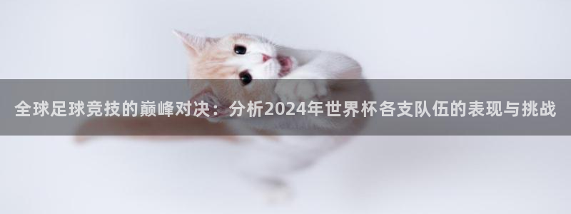 美国世界杯:全球足球竞技的巅峰对决:分析2024年世界杯各支队伍的表现与挑战