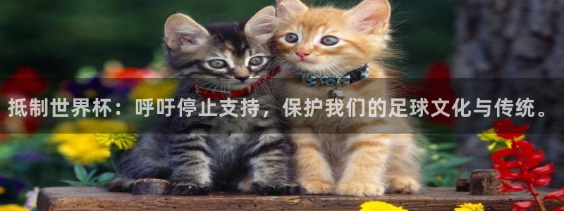 澳门世界杯直播:抵制世界杯:呼吁停止支持,保护我们的足球文化与传统。
