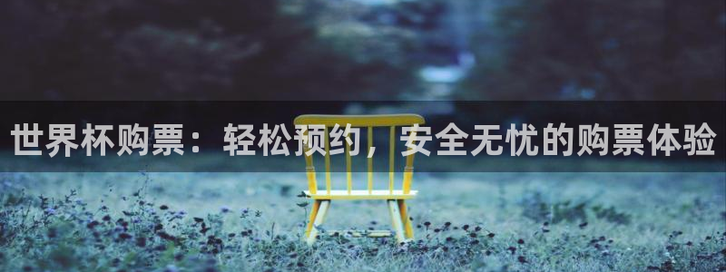 世界杯 中国:世界杯购票:轻松预约,安全无忧的购票体验