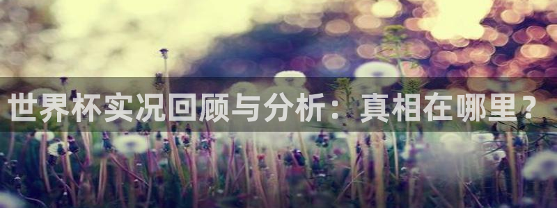 世界杯比赛时间:世界杯实况回顾与分析:真相在哪里?