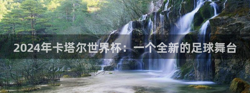 世界杯预选赛亚洲区赛程:2024年卡塔尔世界杯:一个全新的足球舞台