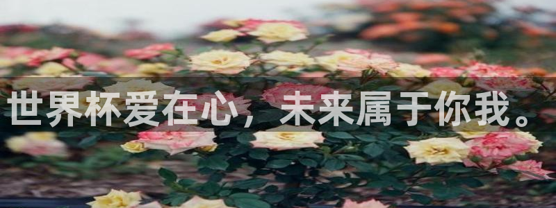 世界杯预选赛规则:世界杯爱在心,未来属于你我。