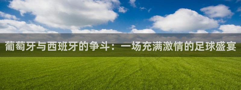 世界杯球赛:葡萄牙与西班牙的争斗:一场充满激情的足球盛宴