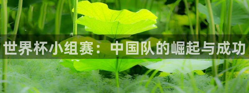 世界杯比赛时间:世界杯小组赛:中国队的崛起与成功