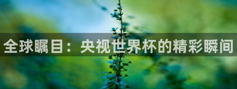2026世界杯官网入口:全球瞩目:央视世界杯的精彩瞬间